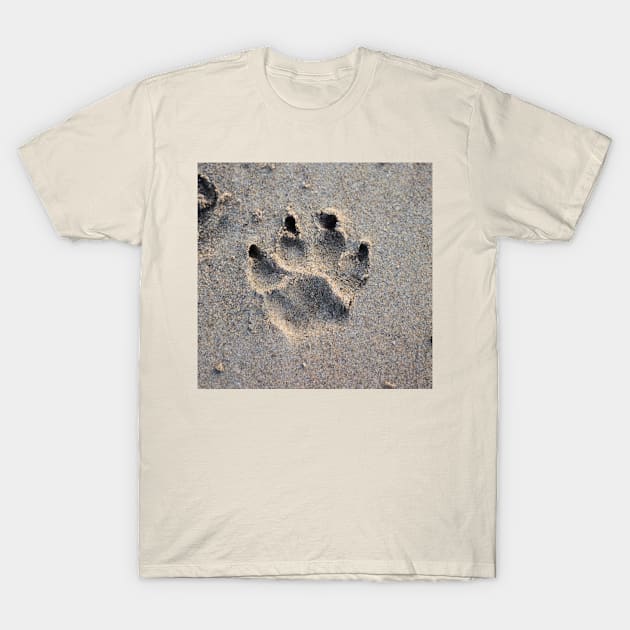 A paw in the sand T-Shirt by simonebonato99@gmail.com